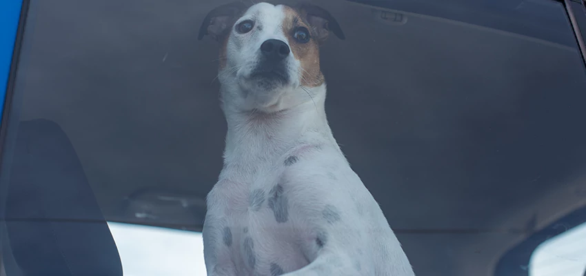 Car Lockout Solutions in Ione, California